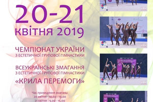 With the support of Idea Group, a children's aesthetic gymnastics championship was held in the Dnipro city